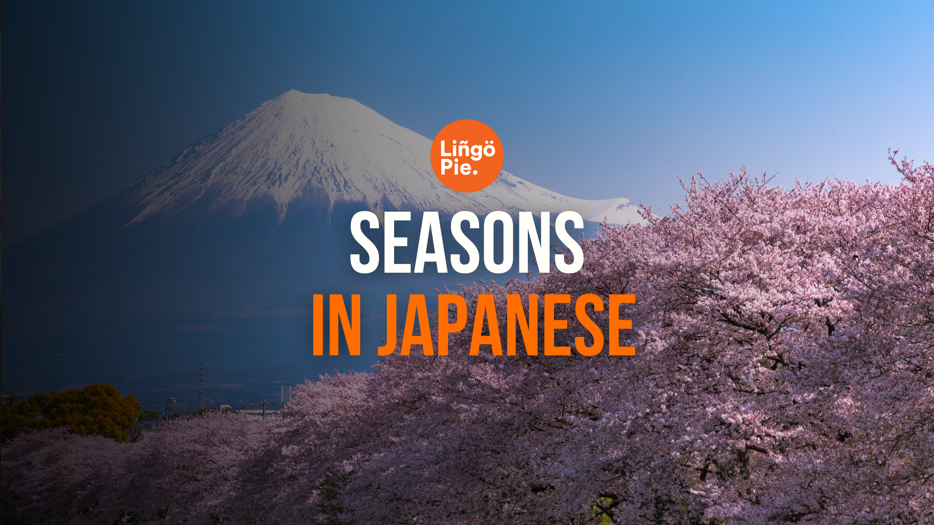 Seasons in Japanese: A Guide For Beginners [2026]